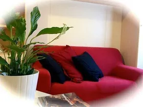 Olly Apartments - Image 3