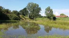 LA FERME DU NIZON - Image 4