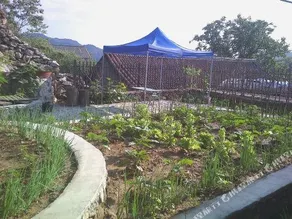 Mutianyu Great Wall Zheng Yang Farm House - Image 4