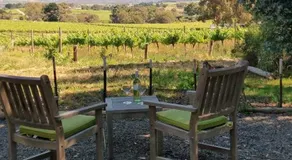Lost in the Vines - Image 2