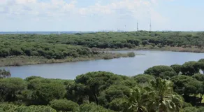 Ático del Portil - Image 5