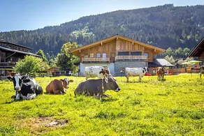 Bauernhof Vorderklinglhub &Landhaus Olga - Image 2