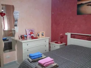 Pellicunidada - Image 5