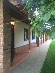Diofa Vendeghaz - Image 2