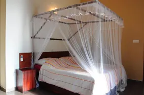 Coco Cabana - Image 4