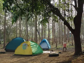Cibo Escape Eco Resort - Image 3