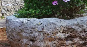 Vigna Vecchia - Image 4