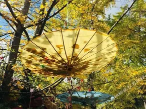 Tengchong Jinqiu Farm Stay - Image 4
