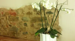 Albero del Kiri - Image 2