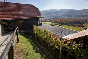 Vineyard Cottage Ludvikov Hram - Image 5