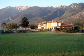 Epixenia Ofiteia - Image 2