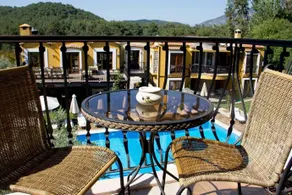 Olive Tree Studio - Image 5