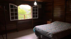 Floresta Tropical - Image 2