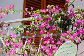 Residence Walhalla - Image 4