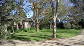 Kooringal Homestead - Image 4