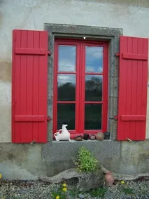 Le Vieux Chien Noir - Image 4