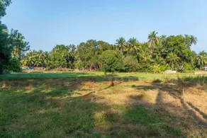 StayVista at White Serenity - Image 4