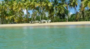 Glamping Los Hicacos Blanco - Image 3