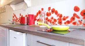 Apartment House Timisoara - Image 5