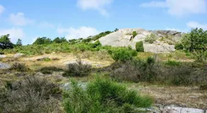 Nordvig Bed & Breakfast - Image 5