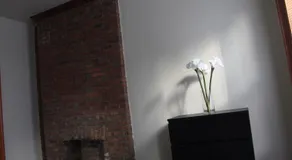 Stuyvesant Heights Loft Apartment - Image 2
