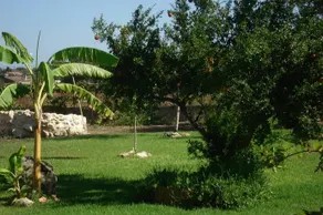 Casa Vacanze Gli Oleandri - Image 3