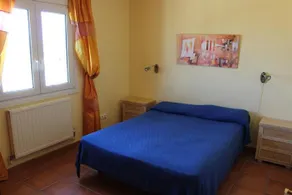 Amarilla - Image 5