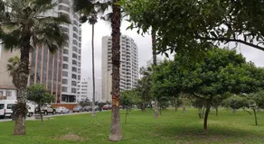 Departamento Miraflores Frente al Mar - Image 5