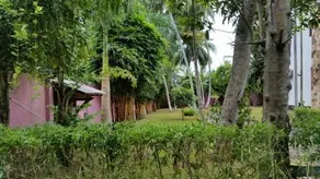 Hotel Searich Nature View - Image 5