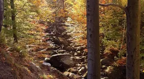 Hejnice Retreat - Image 5