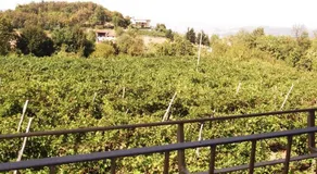 La Panoramica - Image 4