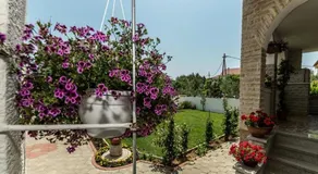 Apartments Dalmatia - Image 2