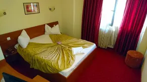 Hotel Pui de Urs - Image 5