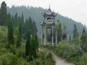 Taohuayuan Cultural and Ecological Hotel - Image 5