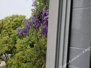 LEHOUSE. - Image 2