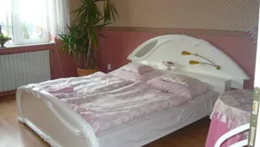 DIáNA VENDéGHáZ - Image 5
