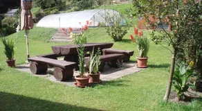 Apartman Pod Lesem - Image 5