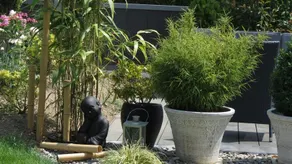 B&B Andrey - Image 4