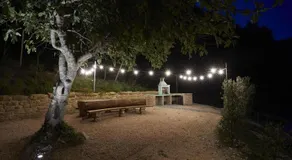 Appartamento Palazzo - Image 4