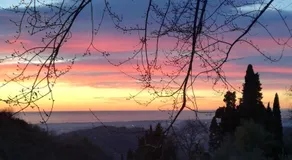 Podere Buonarosa - Image 5