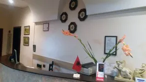 Palma - Image 3