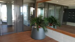 T2 Carnon a 50m de la plage - Image 2