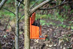 B&B Arlesbrunnen - Image 5