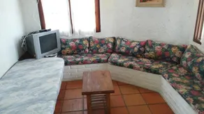 Las Aves - Image 5