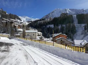 ViviFoppolo - Image 3