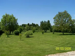 Au Pays d'Or - Image 4