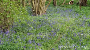 Bottom Pond Shepherd Hut - Image 4