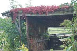 B&B Onze Deel - Image 4