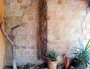 Mediterranean Garden Holiday Home - Image 2