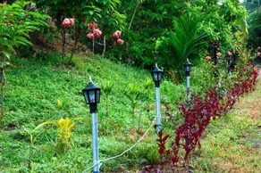 Ixzire Resort - Image 4